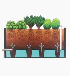 Lee Valley Container Gardening><noscript><img width=