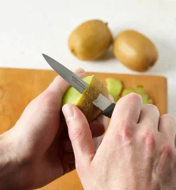 Lee Valley Knives & Cutlery><noscript><img width=
