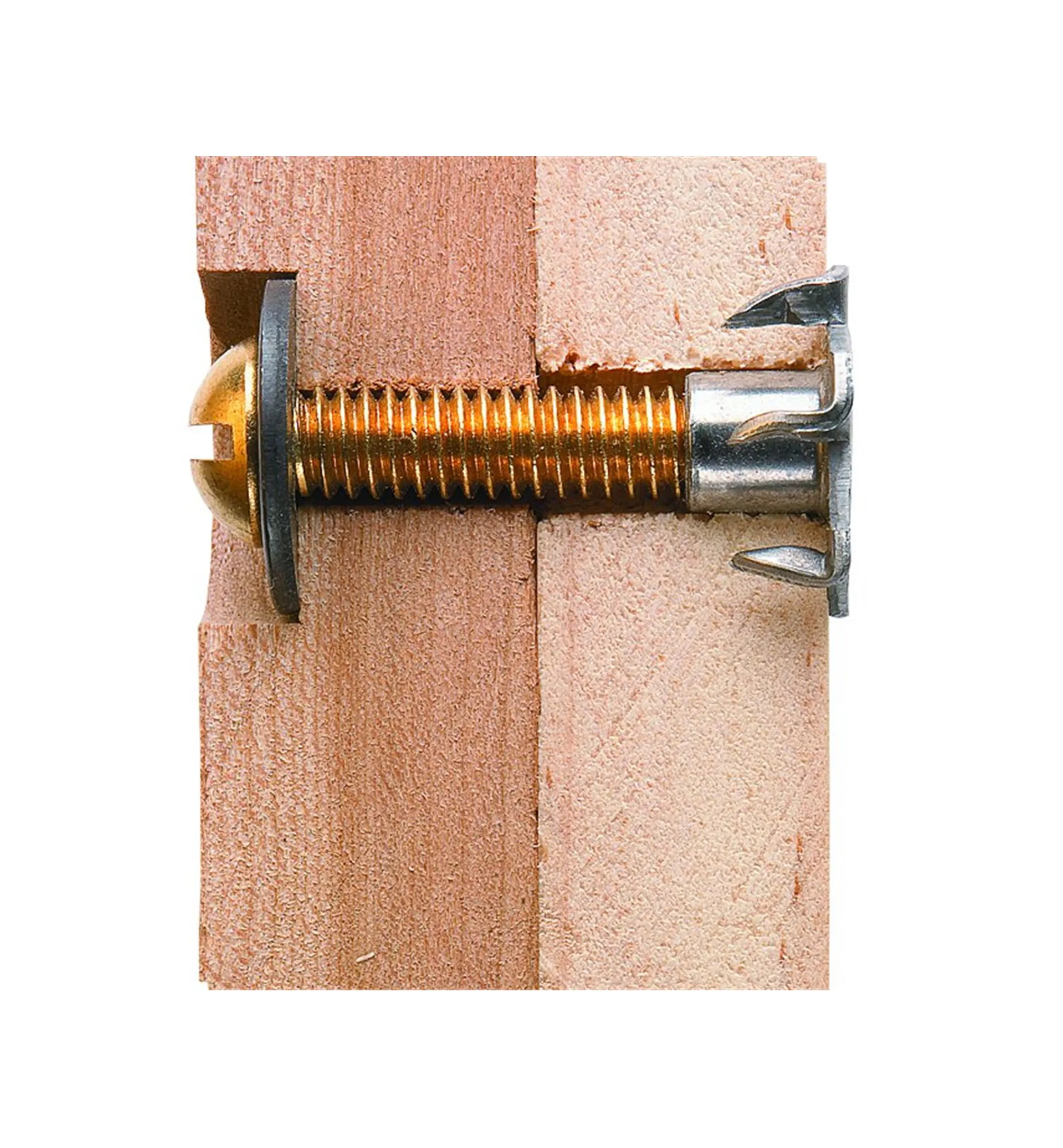Lee Valley Jig & Fixture Parts>Six-Prong T-Nuts (1/4-20 Thread)