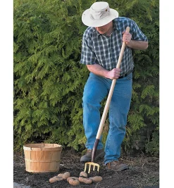 Lee Valley Harvesting><noscript><img width=
