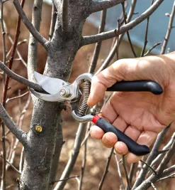 Lee Valley Pruners>Stainless-Steel Bypass Pruner