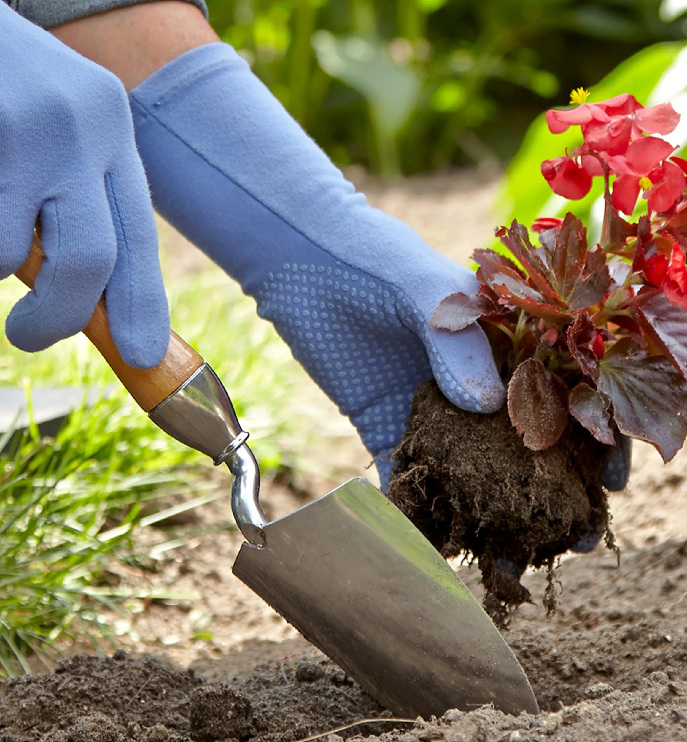 Lee Valley Garden Care>Start A Garden Bed Set