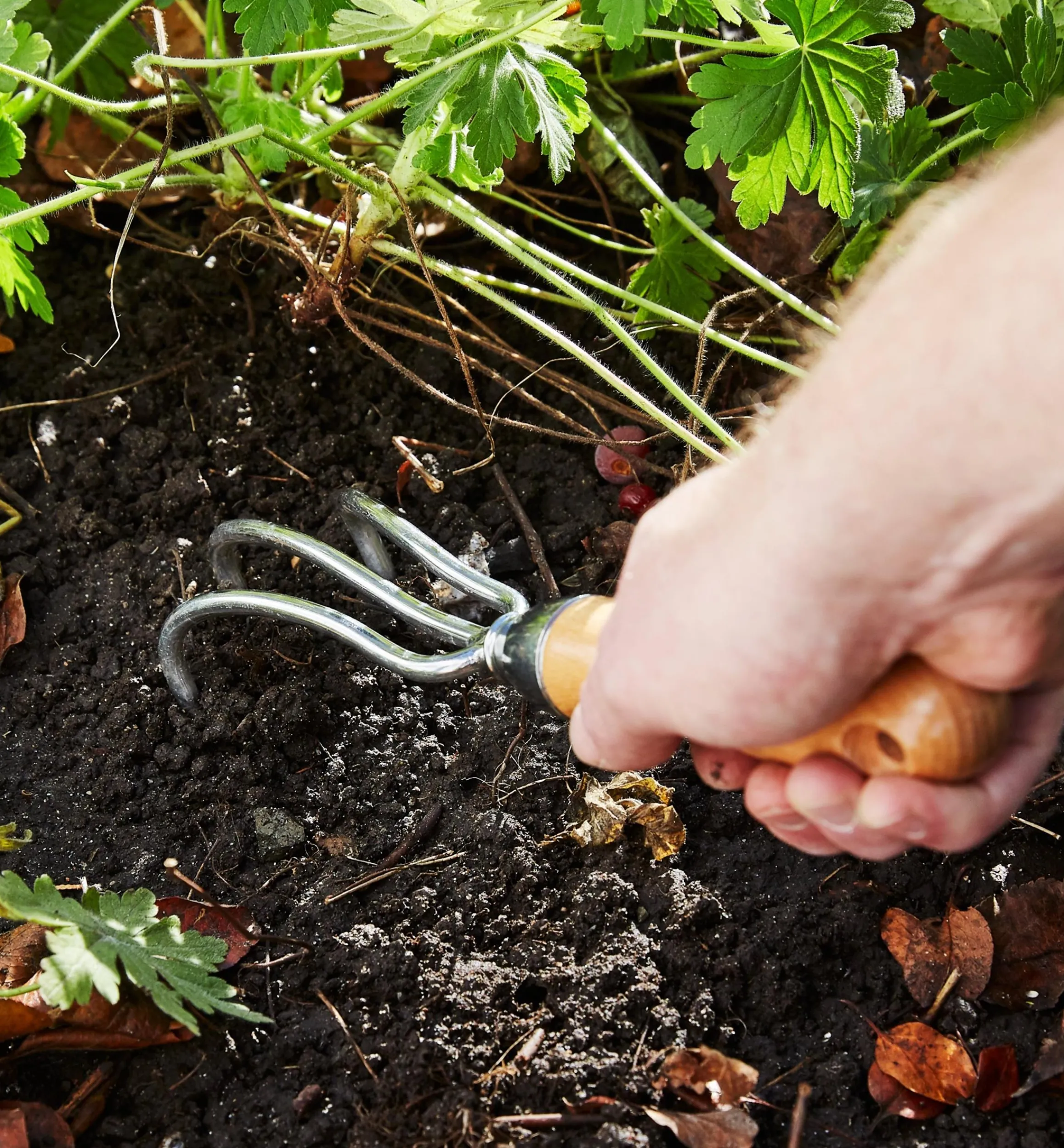Lee Valley Garden Care>Start A Garden Bed Set