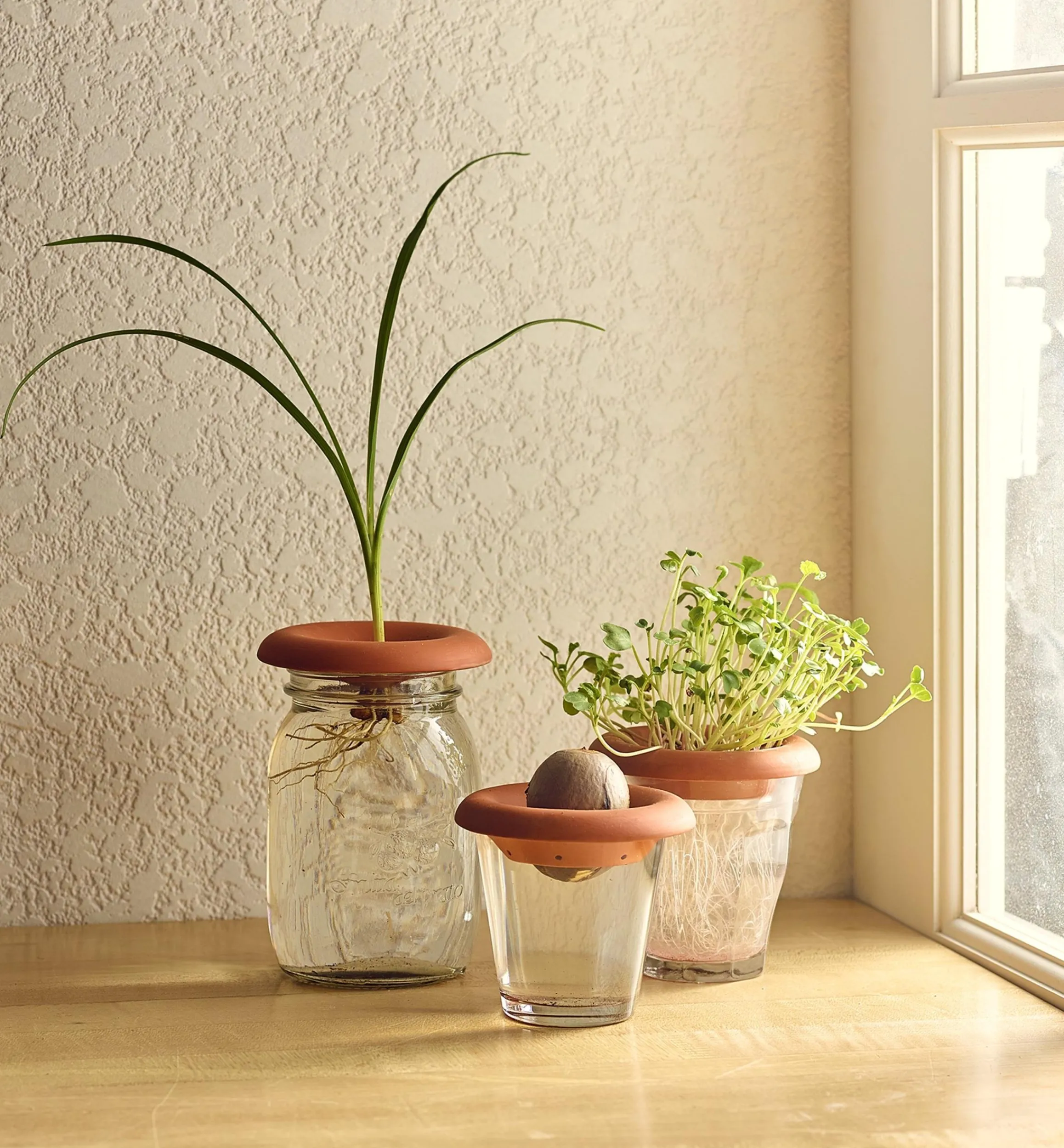 Lee Valley Propagation>Terra Cotta Seed Sprouters