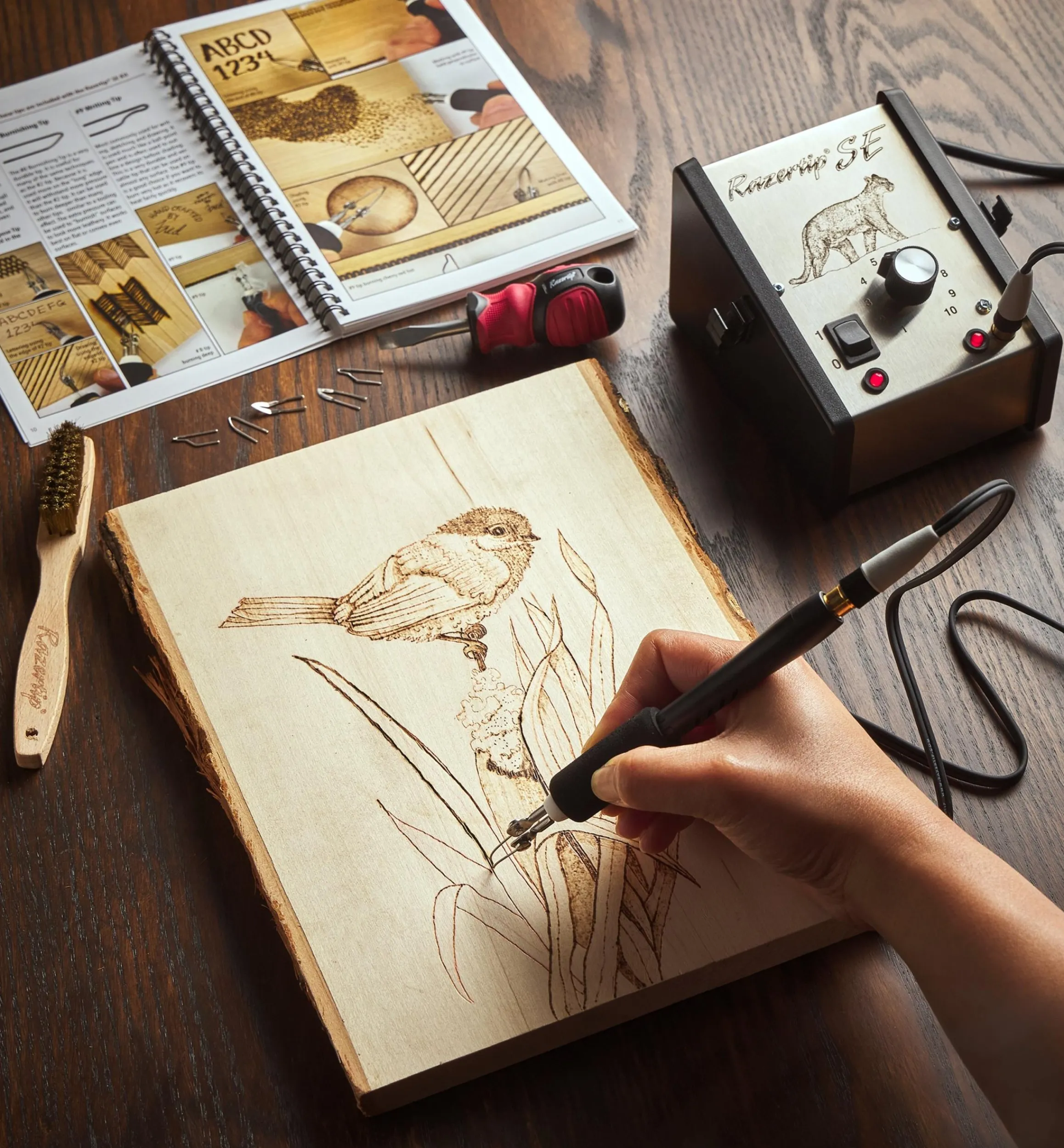 Lee Valley Power Tools>The Razertip SE Wood Burning Kit