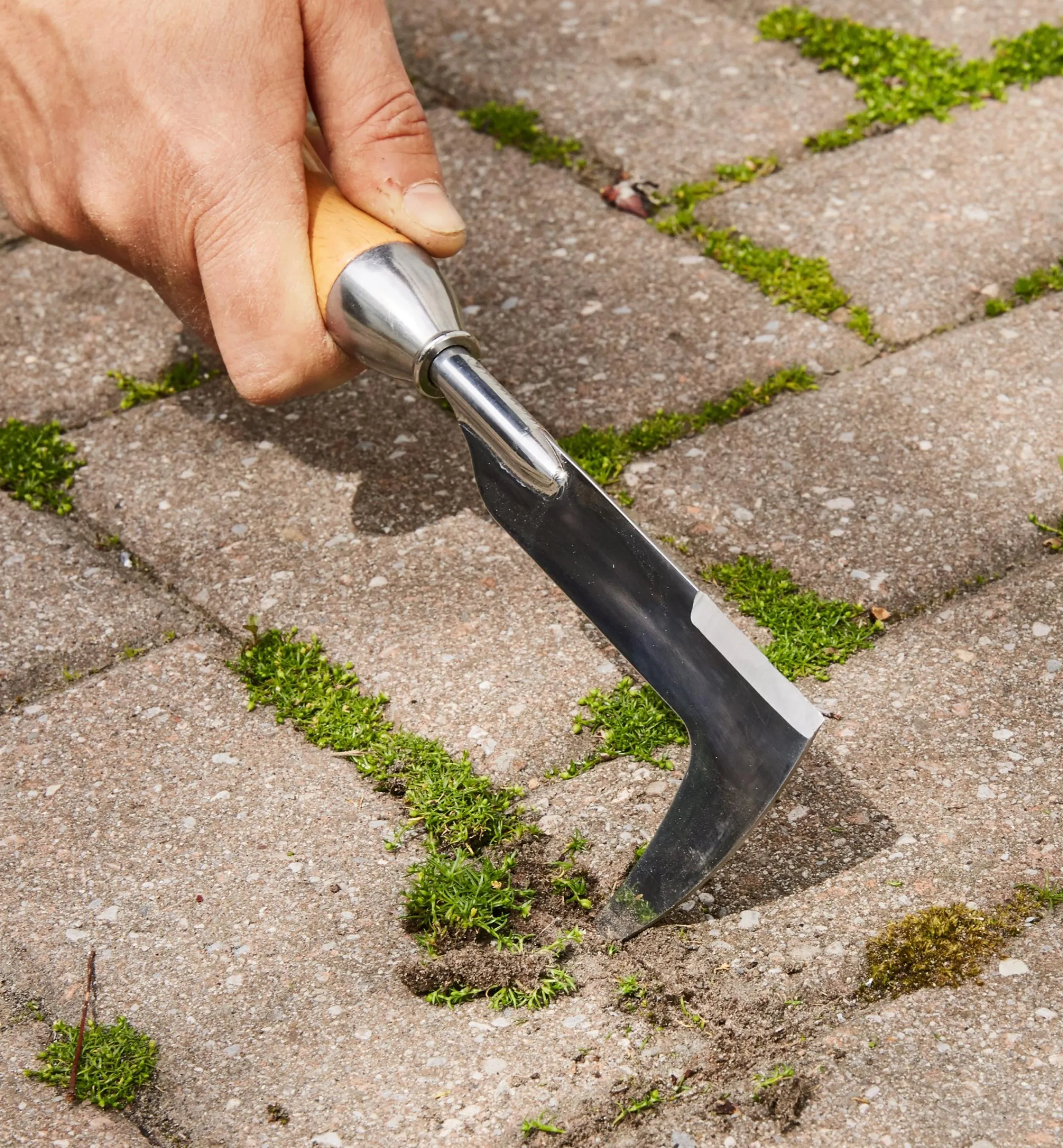 Lee Valley Weeding>Ultimate Weeding Kit