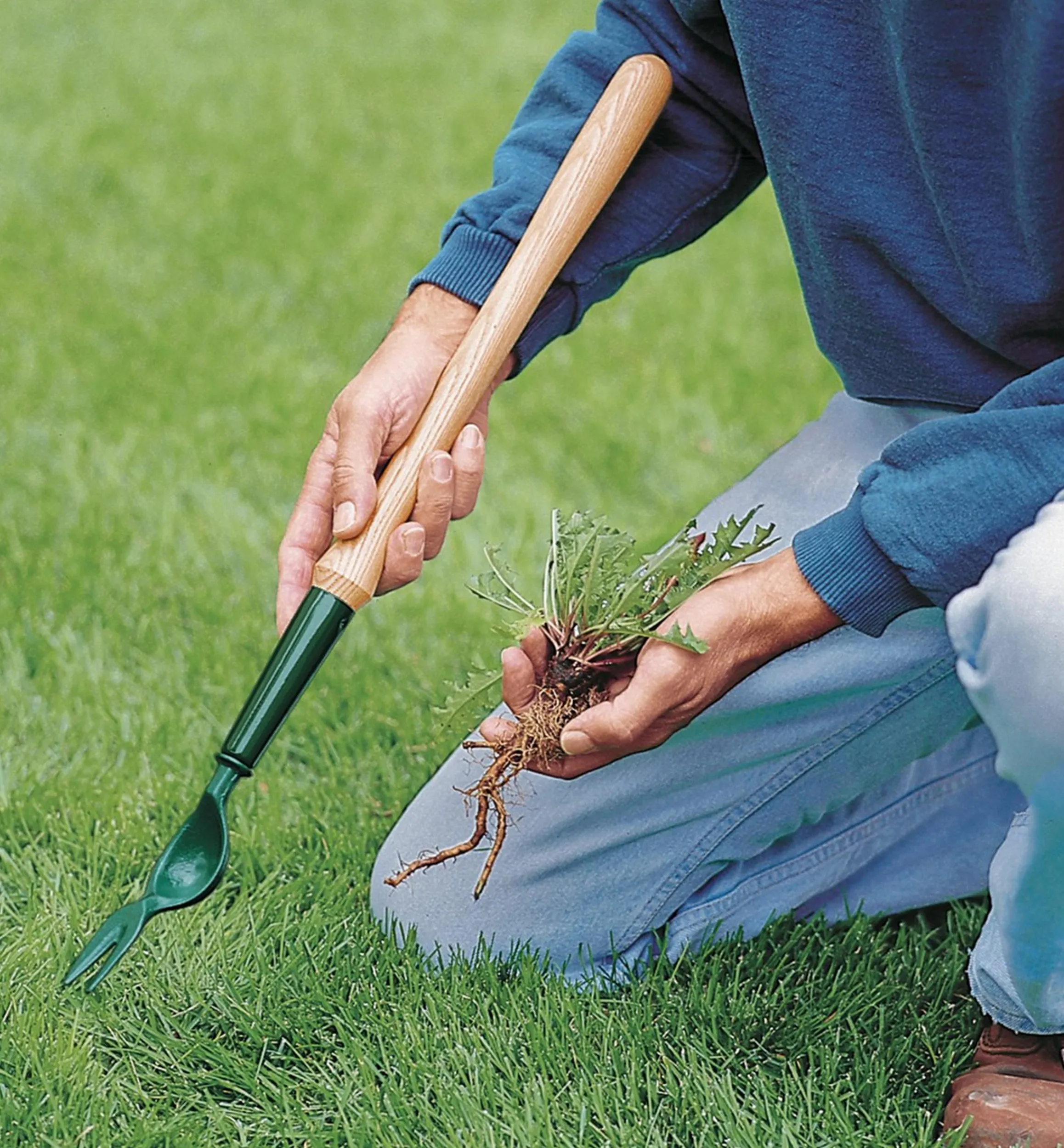 Lee Valley Weeding>Ultimate Weeding Kit