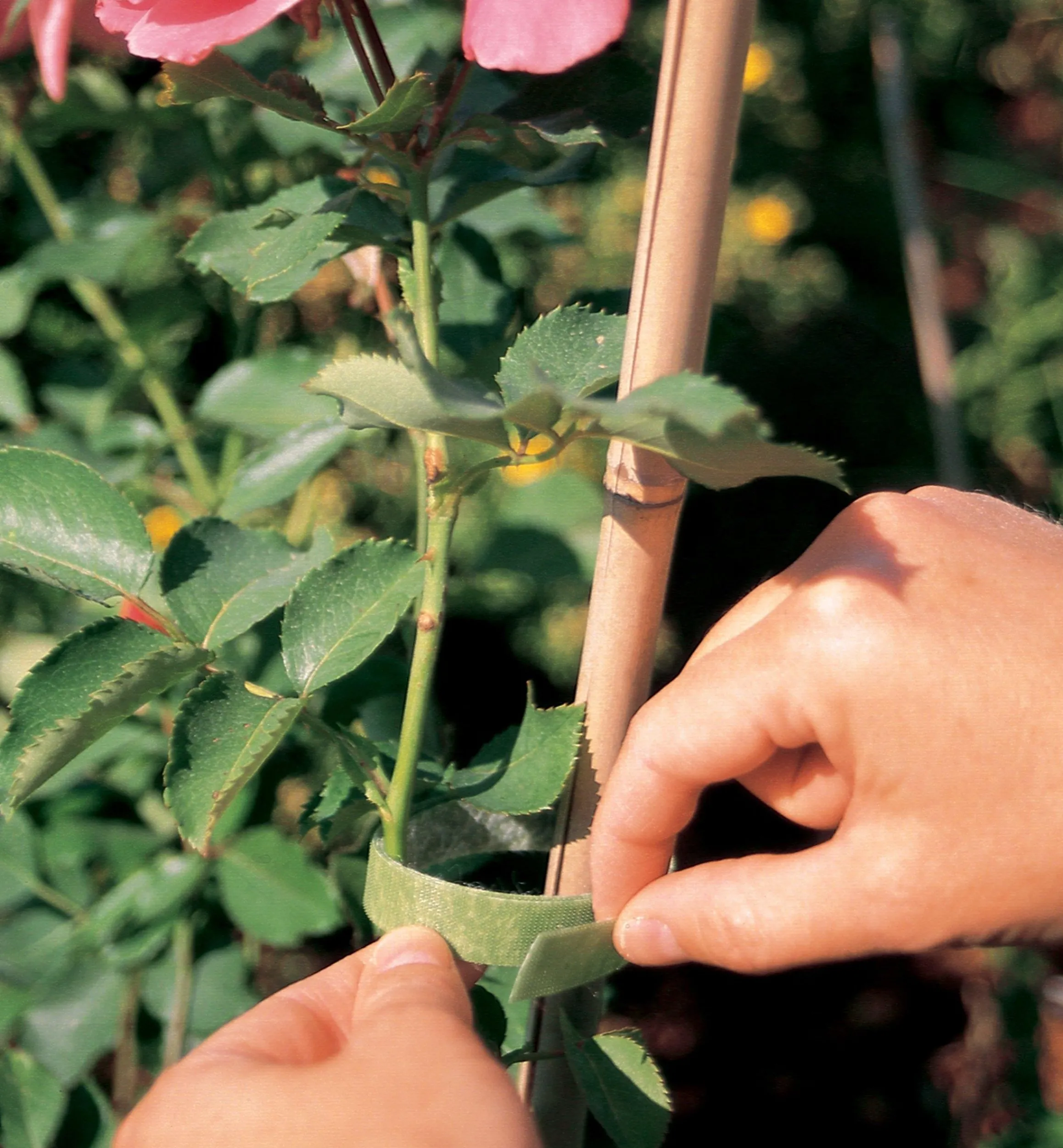Lee Valley Ties & Clips>VELCRO® Plant Tie