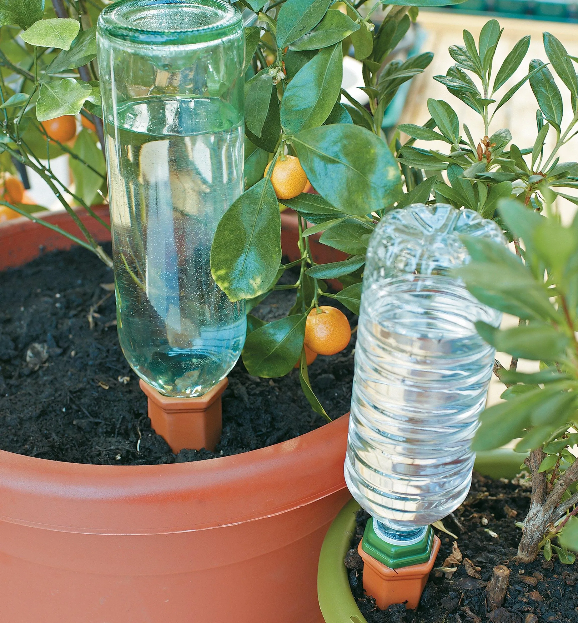 Lee Valley Indoor Gardening>Watering Spikes