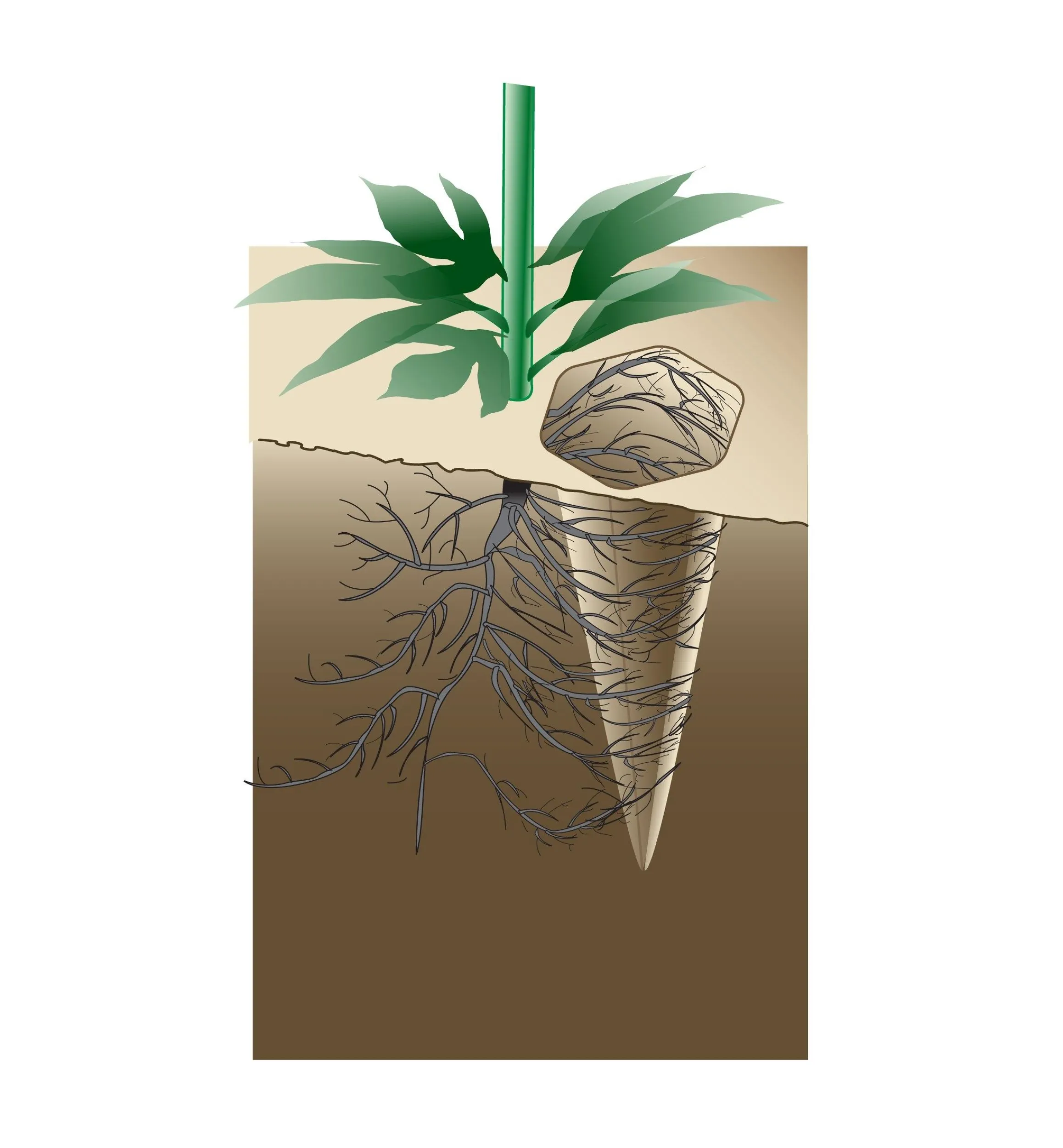 Lee Valley Indoor Gardening>Watering Spikes